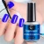 Import fengshangmei brand China factory supply colorful 15ml uv/led nail gel polish uv gel from China