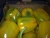 Import Fresh Capsicums from Egypt