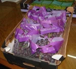 fresh grapes fleem and Arly