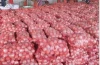 Fresh Organic Red Onion organic lowest natural price