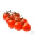 Import Fresh plum tomatoes for sale from Vietnam
