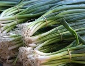 FRESH SCALLIONS ,FRESH AND DRIED FOR SALE