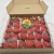Import FRESH STRAWBERRY WITH COMPETITIVE PRICE from Vietnam