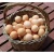 Import Fresh Table White and brown eggs from South Africa
