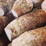 FRESH TARO _ FRESH COCOYAMS FOR SALE