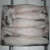 Import Frozen Illex Squid For Sale from Netherlands