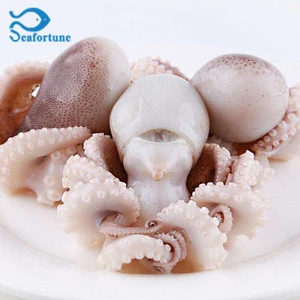 Frozen live baby octopus