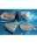 Import Frozen Seafood Fish Basa Frozen Pangasius Steak from Vietnam
