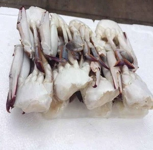 Frozen Swimming Blue Crab Types Of Sea Foods / Best Price