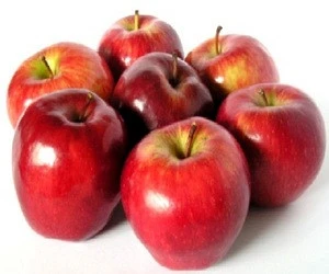 Fruit market prices fresh sweet royal gala apple/Fresh apple