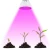 Import Full Spectrum E27 220V LED Plant Grow Light Bulb Phyto Lamp For Indoor Garden Plants from China