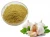 Garlic Extract Garlic Extract Allicin Aged Garlic Extract