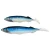 Import Gorgons 33cm554g  26cm416g deep sea fishing lure	Ocean Boat Sea Fishing Big Size Artificial Baits Simulate Soft Fishing Lure from China
