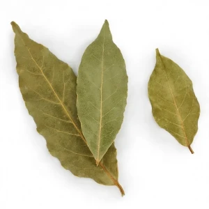 Green Color Spice Dried Bay Leaf/Sun Dried Natural Laurel Bay Leaf
