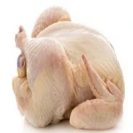 Halal Whole Frozen Chicken and frozen Chicken parts