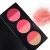 Import Half-moon blush hot sale 6 color half-moon shape blush on case for cosmetic blush for fair skin from China