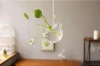 Hanging glass bird flower arrangement vase decoration pendant animal craft
