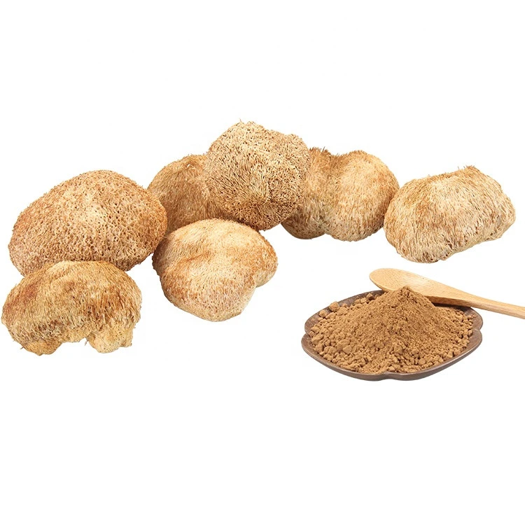 hericium erinaceus lion&#x27;s mane mushroom extract 10 in 1 polysaccharide poudre extrait bag