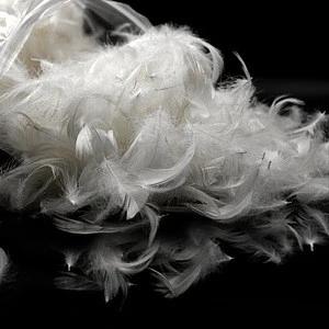 High Filling Power Warm 2-4cm White Duck Feather