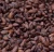 Import High Quality Cacao Beans | Cocoa Beans Bulk from USA