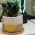 Import High quality cheap price modern garden decoration indoor ceramic wholesale succulent plant pots from China