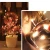 Import High Quality Christmas Copper Fairy String Light Solar Warm White from China