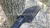 Import High quality folding shovel entrenching tool from China