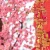 Import High quality high-simulation chinese New Year ornaments long string wall hanging flannelette firecrackers for home decor from China