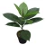 Import High Quality Home Hotel Office Decoration Faux Plastic Green Artificial Ficus Potted Plants from China