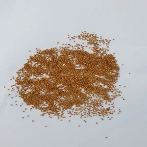 High quality hulled yellow millet