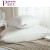 Import Home textiles high luxury hotel bed pillow bulk from China