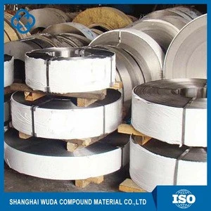 Hot Rolled Aisi 309S Stainless Steel Strips