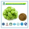 Hot Sale GMP Certificate 100% Pure Natural hops extract liquid