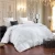 Import Hot selling long sleeve embroidered hotel Comforter/Quilt/Duvet from China