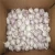 Import hot selling new crop premium quality garlic from China