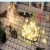 Import Hotsale  3m battery powered indoor/outdoor decorative fairy lights globe string lights from China