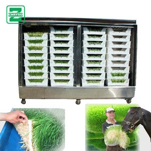 Hydroponic fodder system wheat for sprouting | black soya bean sprouting