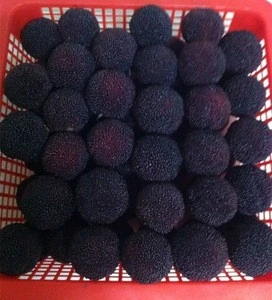Import fresh china waxberry
