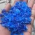 Import Industrial Plastic Bottle Crushing Machinery Shredder Film Plastic Machine Plastic Crusher Machine from China