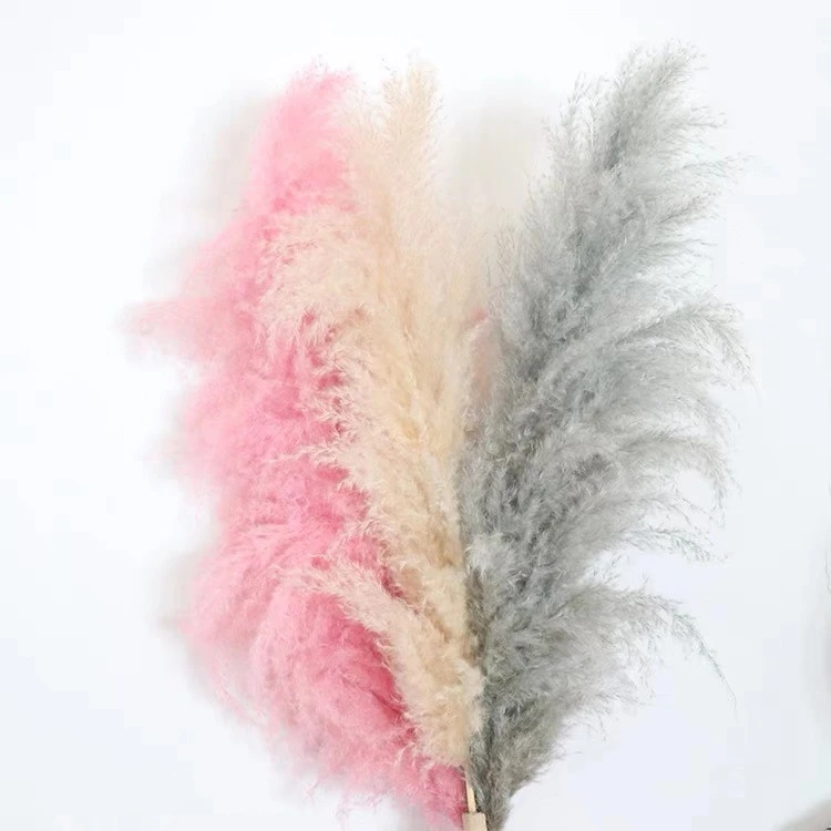 Ins hot preserved plant real touch flower white pink dried pampas grass