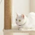 Import Integrated grinding claw Pet toy shelf space capsule cats villa Scratching Board Posts Cat Tree Large cat climbing frame from China