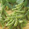 iqf frozen green cheap bulk soybeans edamame wholesale