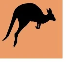 Kangaroo (Frozen,Boneless)
