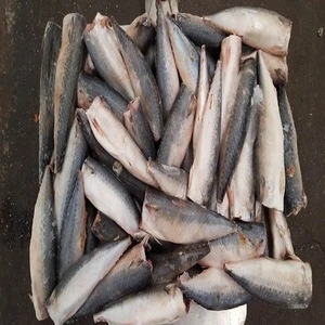 Landfrozen Sardine Fish Seafood factory price