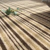 Luxury Living Room Rugs 10% Wool 90% PET Area Rugs and Mats