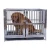 Import Middle Door Design Dog Cage With Wheels Xxl Commercial Metal Dog Cage from China