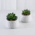 Import Mini Artificial Potted Plastic Handicraft Succulent Bonsai Plants in Ceramic Pot for Indoor Home Decor from China
