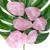 Import Natural artificial crystal raw stone crystal rose quartz raw stone used in new product processing from China