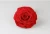 Import Natural Fresh Cut Flowers Wholesale Preserved Roses Christmas Promotinal Gift 9-10cm 1Pcs/Box Rose Head from China