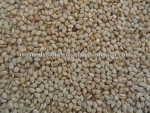 Natural Sesame Seeds